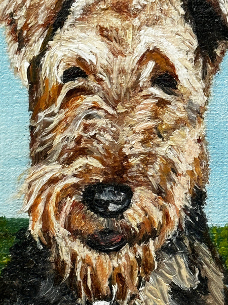 British Oil Painting Airedale Terrier Dog Portrait By Howard Shingler - Cheshire Antiques Consultant