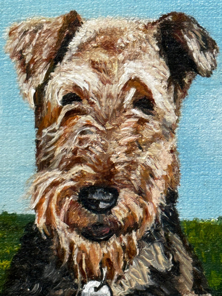 British Oil Painting Airedale Terrier Dog Portrait By Howard Shingler - Cheshire Antiques Consultant