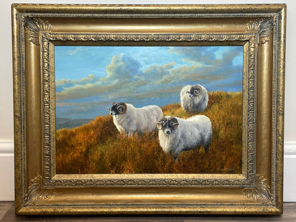 British Oil Painting Portrait Of 3 Sheep In Highlands Signed Elizabeth Halstead - Cheshire Antiques Consultant