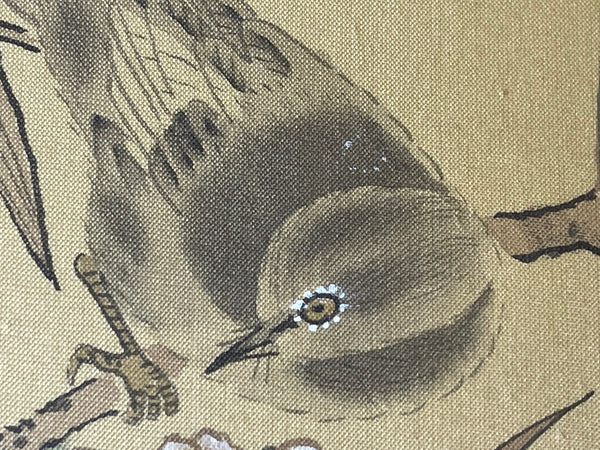 Chinese Painting Wild Birds Plum Blossom Eyes After Zhao Ji (趙佶, 1082–1135) - Cheshire Antiques Consultant
