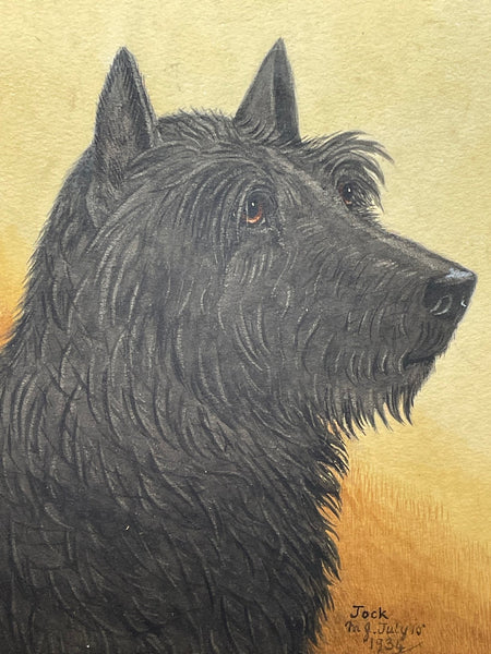 English School Circa 1934 Watercolour Portrait Black Scottie Terrier - Cheshire Antiques Consultant