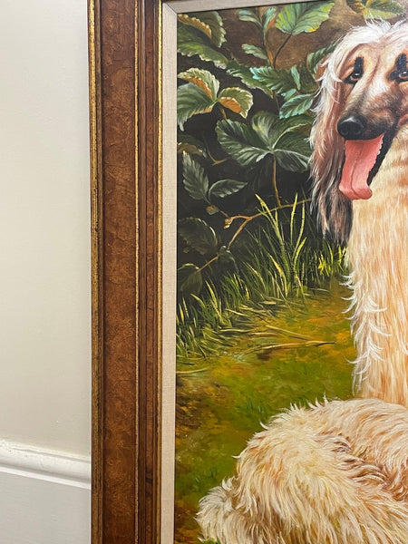 Large Impressive Portrait Afghan Hound Dogs Oil Painting - Cheshire Antiques Consultant