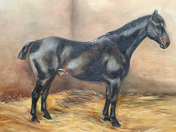 Oil Painting Equine Portrait Black Horse In Stable By Alice Mary Burton RBA - Cheshire Antiques Consultant