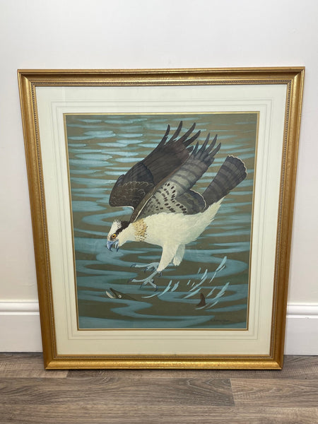 Watercolour Osprey Swooping Down On Pike Fish Signed Ralston Gudgeon - Cheshire Antiques Consultant