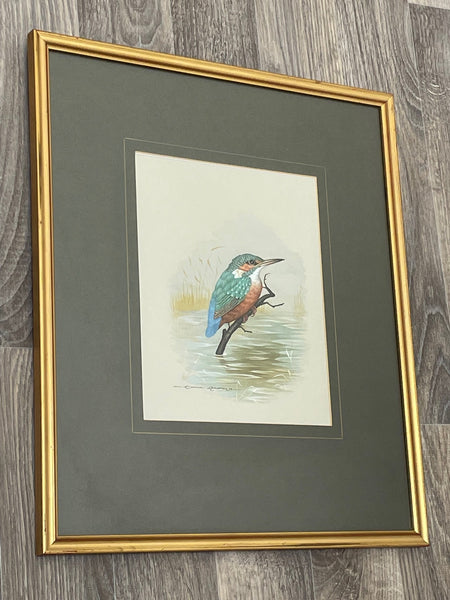 Watercolour Painting "Iridescent Kingfisher" By David Andrews - Cheshire Antiques Consultant